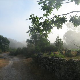 Camino 2010 öffentliche Fotos