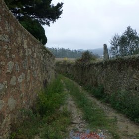 Camino 2015 - öffentliche und private Fotos