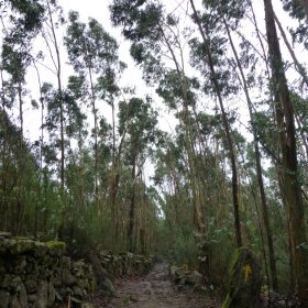 Camino Herbst 2015 - öffentliche Fotos