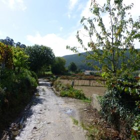 Camino Herbst 2015 - öffentliche Fotos