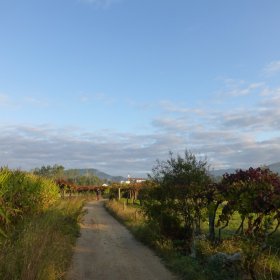 Camino Herbst 2015 - öffentliche Fotos