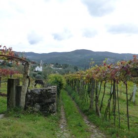 Camino Herbst 2015 - öffentliche Fotos