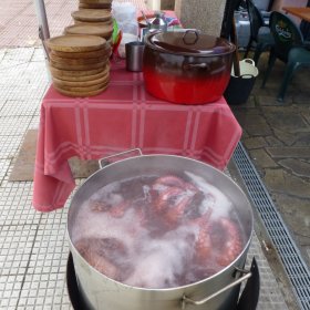 Camino Herbst 2015 - öffentliche Fotos