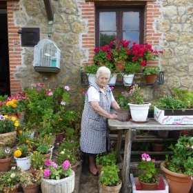 Camino 2015 - öffentliche Fotos