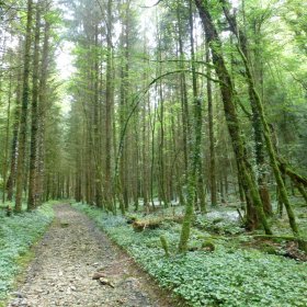 Camino 2016 öffentliche Fotos