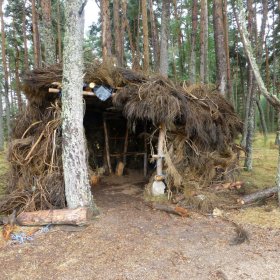 Camino 2016 öffentliche Fotos