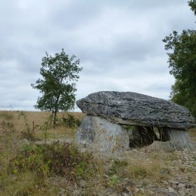 Camino 2016 öffentliche Fotos