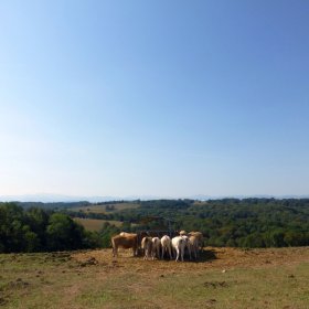 Camino 2016 öffentliche Fotos