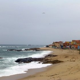 Camino Herbst 2017 öffentliche Fotos