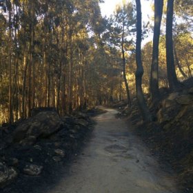 Camino Herbst 2017 öffentliche Fotos