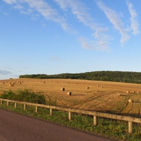 Via Francigena 2018 ohne private Fotos