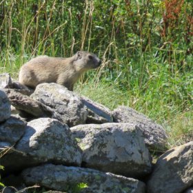 Via Francigena 2018 ohne private Fotos