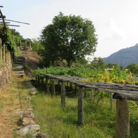 Via Francigena 2018 ohne private Fotos