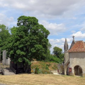 Camino 2019 öffentliche Fotos