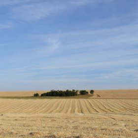 Camino 2019 öffentliche Fotos