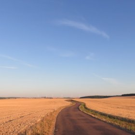 Camino 2019 öffentliche Fotos