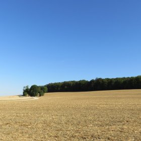 Camino 2019 öffentliche Fotos