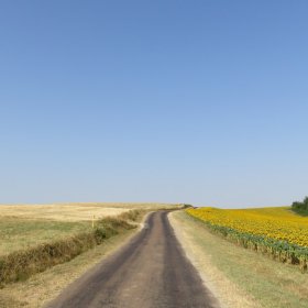 Camino 2019 öffentliche Fotos