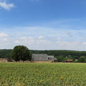 Camino 2019 öffentliche Fotos