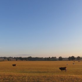 Camino 2019 öffentliche Fotos