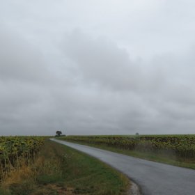 Camino 2019 öffentliche Fotos