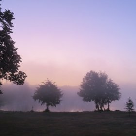 Camino 2019 öffentliche Fotos