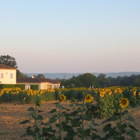 Camino 2019 öffentliche Fotos