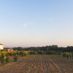 Camino 2019 öffentliche Fotos