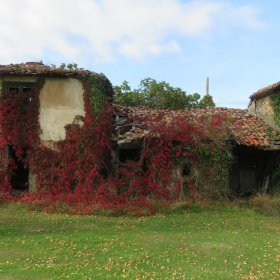 Camino 2019 öffentliche Fotos