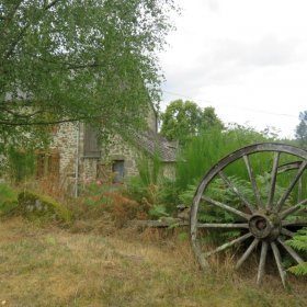 Camino 2019 öffentliche Fotos