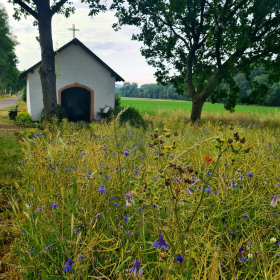 Camino 2023 - nochmals von Aachen in Richtung Santiago: Acht Wochen und 1200 km bis ins Aubrac - öffentliche Fotos