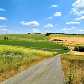 Camino 2023 - nochmals von Aachen in Richtung Santiago: Acht Wochen und 1200 km bis ins Aubrac - öffentliche Fotos