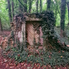 Camino 2023 - nochmals von Aachen in Richtung Santiago: Acht Wochen und 1200 km bis ins Aubrac - öffentliche Fotos