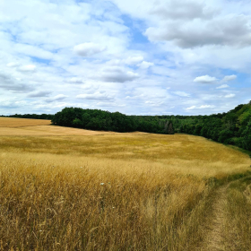 Camino 2023 - nochmals von Aachen in Richtung Santiago: Acht Wochen und 1200 km bis ins Aubrac - öffentliche Fotos