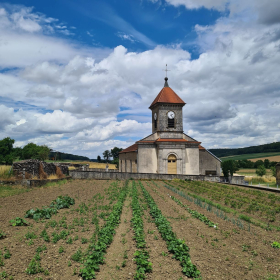 Camino 2023 - nochmals von Aachen in Richtung Santiago: Acht Wochen und 1200 km bis ins Aubrac - öffentliche Fotos