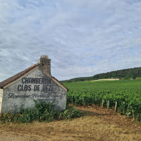 Camino 2023 - nochmals von Aachen in Richtung Santiago: Acht Wochen und 1200 km bis ins Aubrac - öffentliche Fotos