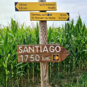 Camino 2023 - nochmals von Aachen in Richtung Santiago: Acht Wochen und 1200 km bis ins Aubrac - öffentliche Fotos