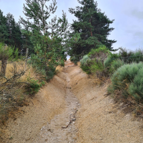 Camino 2023 - nochmals von Aachen in Richtung Santiago: Acht Wochen und 1200 km bis ins Aubrac - öffentliche Fotos