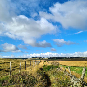 Camino 2023 - nochmals von Aachen in Richtung Santiago: Acht Wochen und 1200 km bis ins Aubrac - öffentliche Fotos