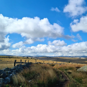 Camino 2023 - nochmals von Aachen in Richtung Santiago: Acht Wochen und 1200 km bis ins Aubrac - öffentliche Fotos