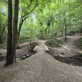 Vis Francigena 2026 öffentliche Fotos