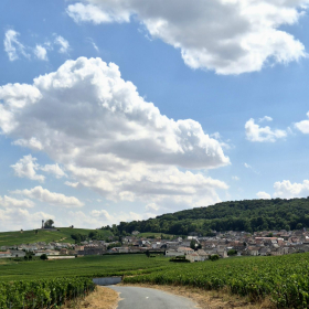 Vis Francigena 2026 öffentliche Fotos