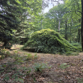 Vis Francigena 2026 öffentliche Fotos