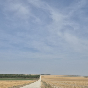 Vis Francigena 2026 öffentliche Fotos