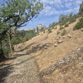 Vis Francigena 2026 öffentliche Fotos