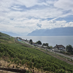 Vis Francigena 2026 öffentliche Fotos