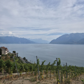 Vis Francigena 2026 öffentliche Fotos