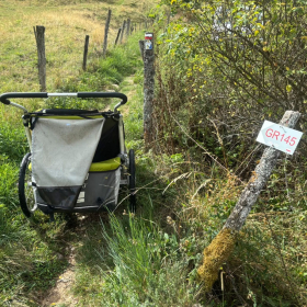 Vis Francigena 2026 öffentliche Fotos