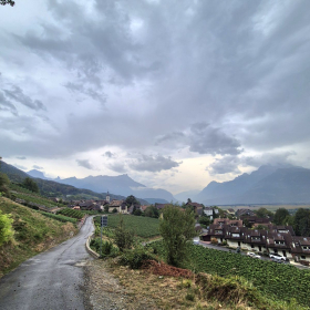 Vis Francigena 2026 öffentliche Fotos