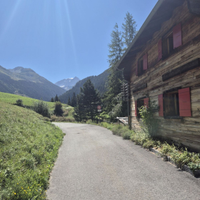 Vis Francigena 2026 öffentliche Fotos